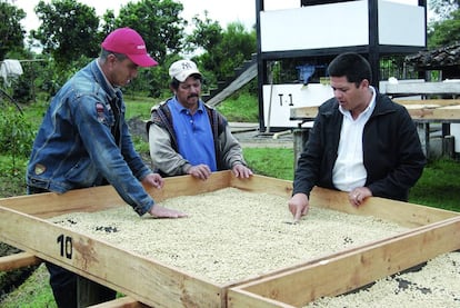 Selecci&oacute;n de caf&eacute; y producto empaquetado. 