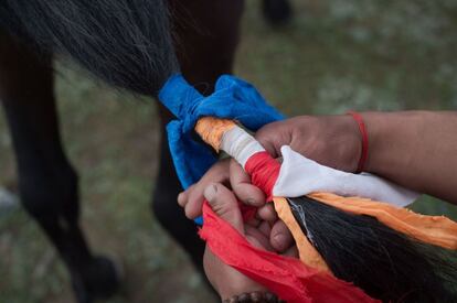 Jinete nómada tibetano teje una cinta de colores en la cola de un caballo en la meseta del Tíbet, en el condado de Yushu (China).