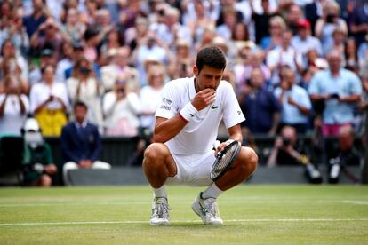 Novak Djokovic, ganador de la final de Wimbledon 2019, se agacha para masticar un trozo de la hierba del campo.