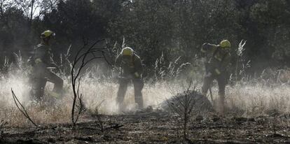 Bomberos de la Comunidad de Madrid trabajan en el incendio declarado en Valdemorillo a principios de julio.