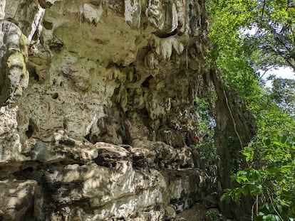 Entrada a la colina Karampuang, la zona donde se descubrieron las pinturas, en la isla de Célebes.