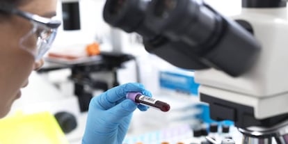 La investigación de la sangre permite el tratamiento de numerosas enfermedades.