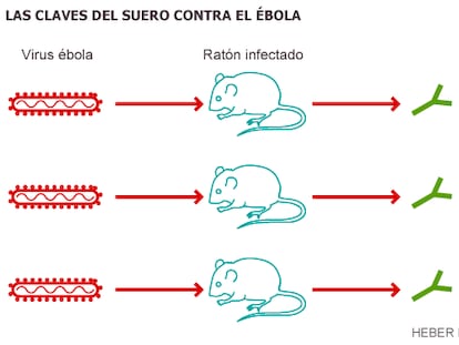 Con la esperanza en un fármaco