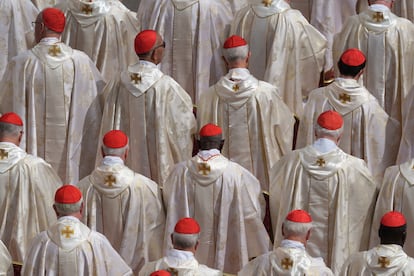 Cardenales siguen la misa del Papa en la plaza de San Pedro.