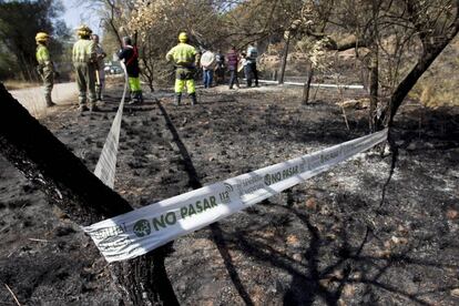 Técnicos investigan el foco del incendio en Artana (Castellón).