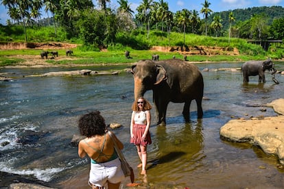 Dos turistas se hacen fotografías junto a un elefante, en el santuario de Pinnawala, en Sri Lanka.