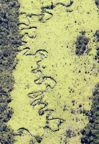 Vista aérea de una zona desforestada del Amazonas en el Estado de Mato Grosso, en Brasil.
