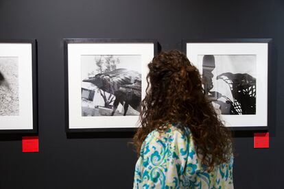 Una visitante observa las fotografías de la exposición 'Expresionismo feroz'.