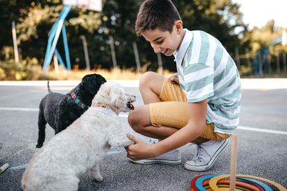 Perros y niños