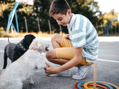 Perros y niños