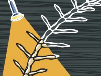 Buscando a Cervantes