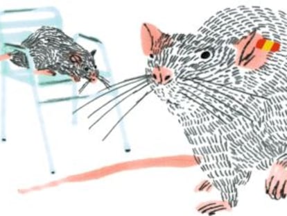 La Marca España y las ratas