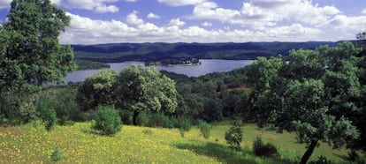 Azinheiras, flores e cistos no parque natural de Hornachuelos (Córdoba).