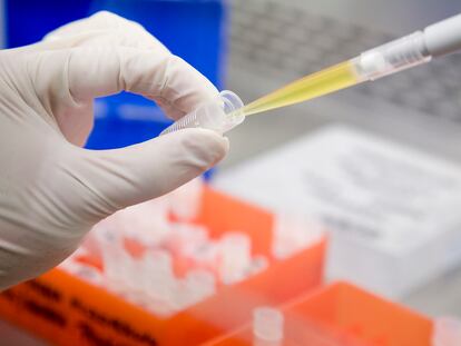 España, líder en la lucha contra la malaria