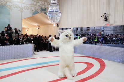 Jared Leto inside a cat suit on the carpet for the 2023 Met Gala.