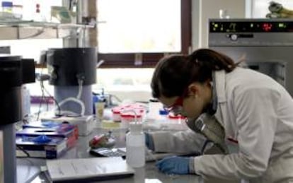 Una investigadora trabaja en un laboratorio. EFE/Archivo