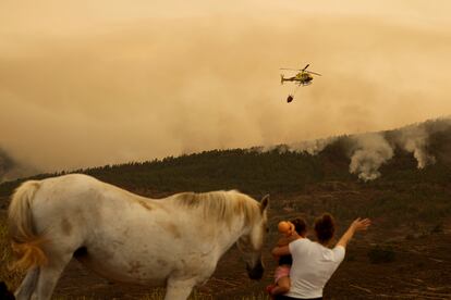 Elianna Díaz, junto a su hija y su caballo, observaban el incendio forestal desde El Rosario, el jueves en Tenerife. 