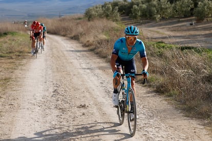 Lutsenko, al ataque en la grava entre los olivos de Úbeda. Wellens queda distanciado.