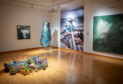 Exposició 'Mariaelena Roqué. Silenci despullat. UnaDonaUna', al Museu d’Art Modern de Tarragona.