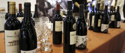 Detalle de vinos durante FITUR.