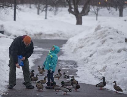 Padre e hija dan de comer a unos patos en un parque de Boston (EE UU), el 1 de marzo de 2015.