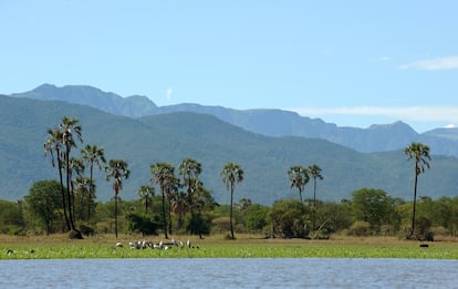 Parque Nacional de Liwonde