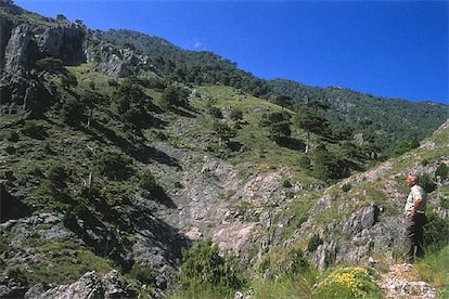 La primavera es uno de los momentos ms favorables para recorrer los parajes naturales de Sierra Mgina, como el Gargantn (en la fotografa).