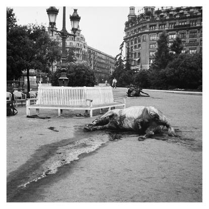 Cavalls morts, a la plaça de Catalunya, 19-21 de juliol del 1936.