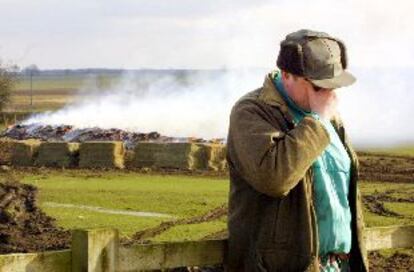 Un granjero asiste angustiado a la incineración de 500 de sus ovejas ayer en Wootton (Reino Unido).