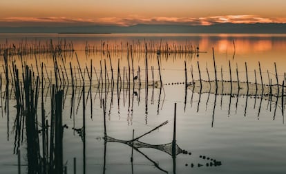La Albufera de Valencia al atardecer.