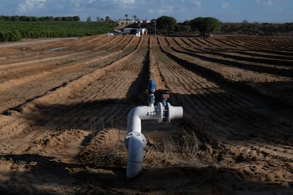 Instalación de riego en la finca Aljóbar de Aznalcázar (Sevilla), propiedad de la Casa de Alba.