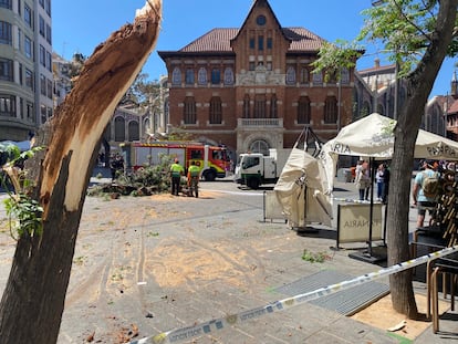 Estado en que ha quedado el tronco del árbol desplomado sobre una céntrica terraza de Valencia, este martes.