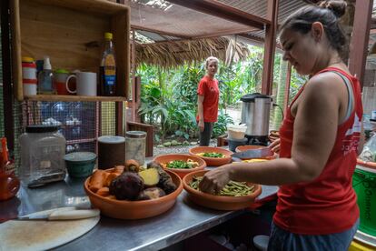 Entre las tareas de los trabajadores y voluntarios del centro está la de preparar la comida a los animales. Estos siguen una dieta estricta.