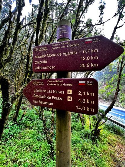 Señalización del Camino Natural Cumbres de La Gomera a su paso por Garajonay.