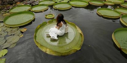 A girl poses for a photo on a giant waterlily leaf during an annual leaf-sitting event in Taipei