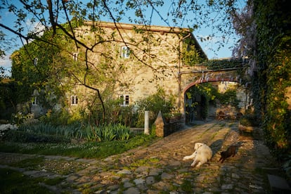 Imagen de la fachada de la casa. Delante, el perro Pushkin y la gata Lady Gaga. 