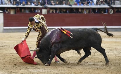 Pepe Moral, durante su faena con 'Chaparrito', en la Feria de San Isidro del año pasado.