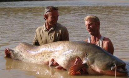 Un gigantesco siluro de 102 kilos.