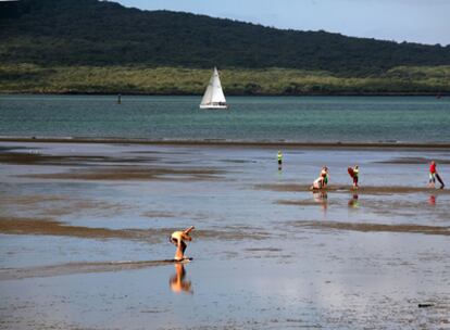 Playa en la bahía de Auckland, la ciudad más poblada de Nueva Zelanda, al norte de la isla Norte.