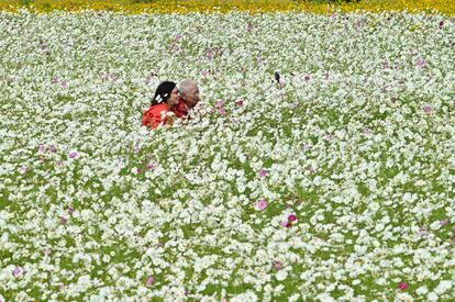 Una pareja se hace una foto en un campo de flores en el distrito de Pingchang en Taoyuan, al norte de Taiwán.