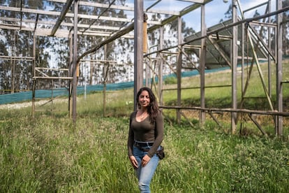 
Lorena Juste, bióloga de Grefa, en la jaula donde se lleva a cabo la primera introducción de los pigargos en la cornisa cantábrica. 
