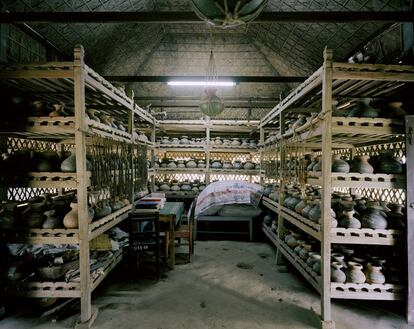 Nayakrishi Andalon, un semillero ecológico en una granjda de Tangail, Bangladesh.