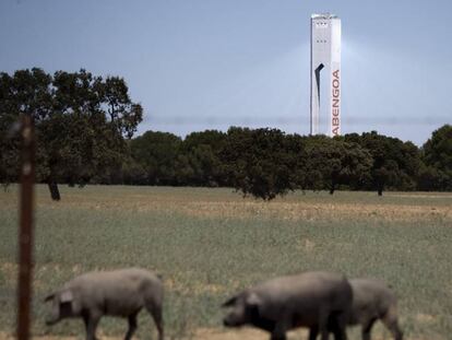 Planta solar de Abengoa en Sanl&uacute;car la Mayor (Sevilla).