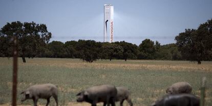 Planta solar de Abengoa en Sanl&uacute;car la Mayor (Sevilla).