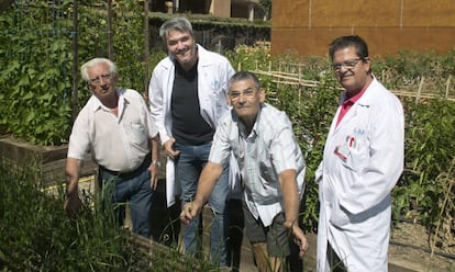 Miguel Ángel Real (el más alto), director del ambulatorio de Carabanchel Alto con pacientes y personal en el huerto urbano del centro.