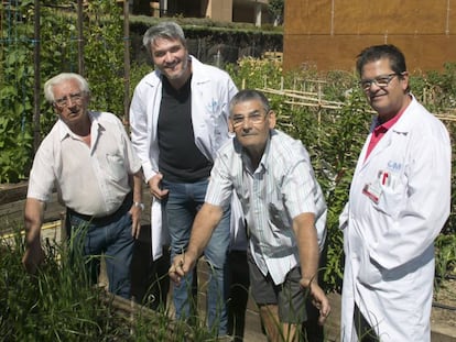 Miguel Ángel Real (el más alto), director del ambulatorio de Carabanchel Alto con pacientes y personal en el huerto urbano del centro.