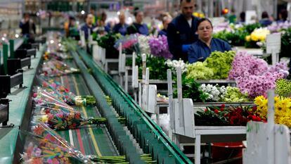 Ramos de flores son envueltas en celofán para salir a la venta en Medellín (Colombia), en mayo de 2023.