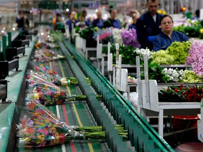 Ramos de flores son envueltas en celofán para salir a la venta en Medellín (Colombia), en mayo de 2023.