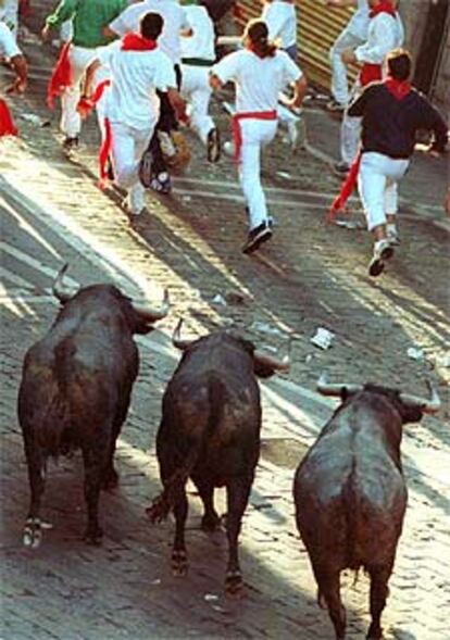 Tres de los cuatro toros que se han adelantado en el Ayuntamiento.