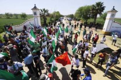 Cientos de jornaleros del Sindicato Andaluz de Trabajadores (SAT) han vuelto a entrar esta mañana en la finca propiedad del Ministerio de Defensa "Las Turquillas", ubicada en Osuna (Sevilla).